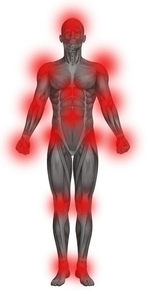 Inson tanasi anatomiyasi — pain areas